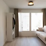 Homyparis Párizs
